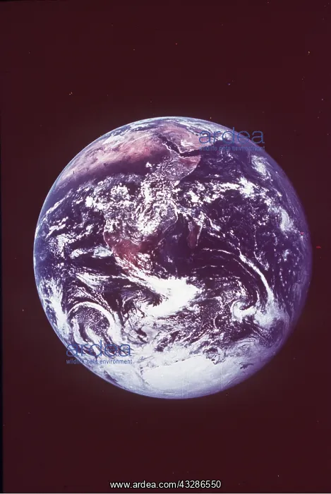 : THE EARTH from space showing Africa : THE EARTH from space showing Africa