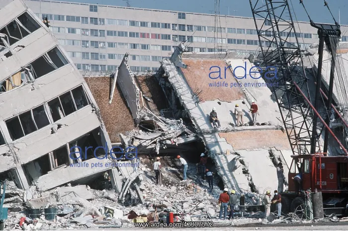 : EARTHQUAKE - Apartment complex : EARTHQUAKE - Apartment complex