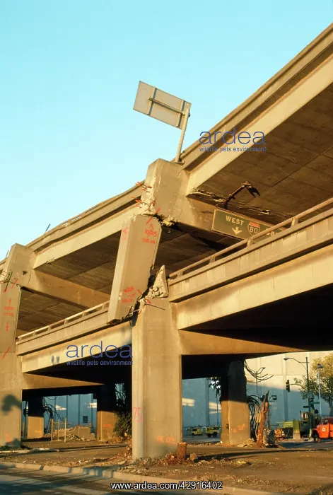 : Earthquake - collapsed freeway at Oakland California USA : Earthquake - collapsed freeway at Oakland California USA