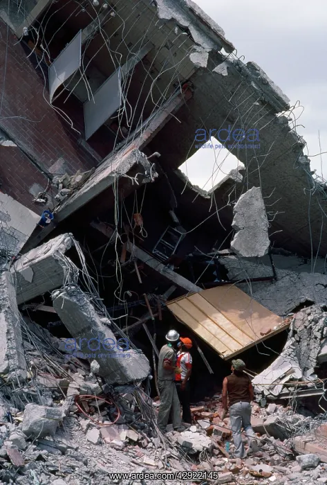 : Earthquake damage : Earthquake damage