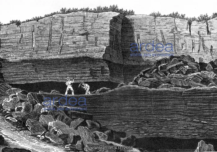 : Earth's Crust : Earth's Crust