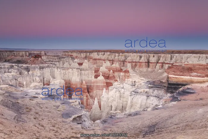 : Earthshadow rises at twilight over the hoodoos : Earthshadow rises at twilight over the hoodoos
