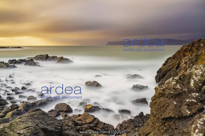 : Easdale, Ellenabeich, Argyll and Bute, Scotland : Easdale, Ellenabeich, Argyll and Bute, Scotland
