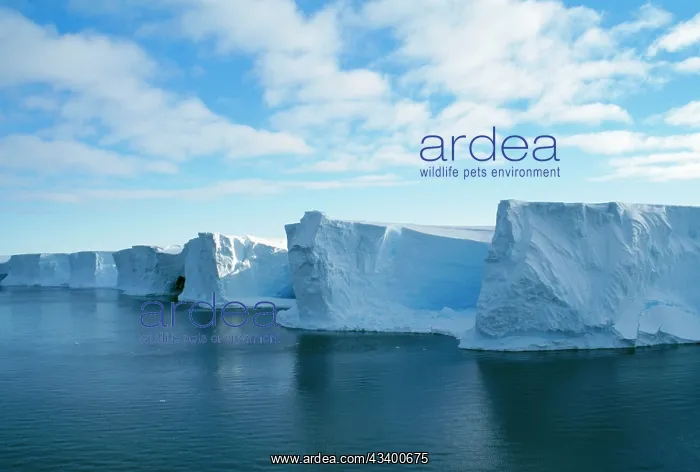 : East Antarctica - Amery Ice Shelf