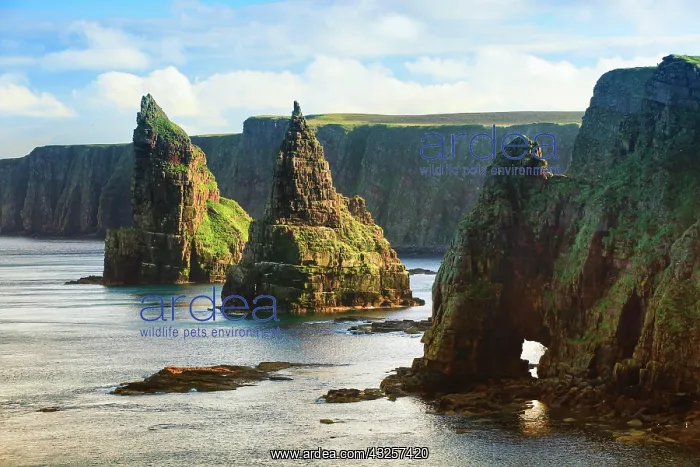: East Coast of Scotland : East Coast of Scotland