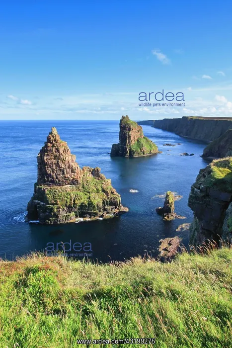 : East Coast Scotland, Great Britain : East Coast Scotland, Great Britain