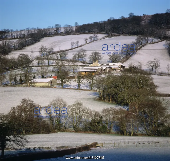 : East Devon farmland : East Devon farmland