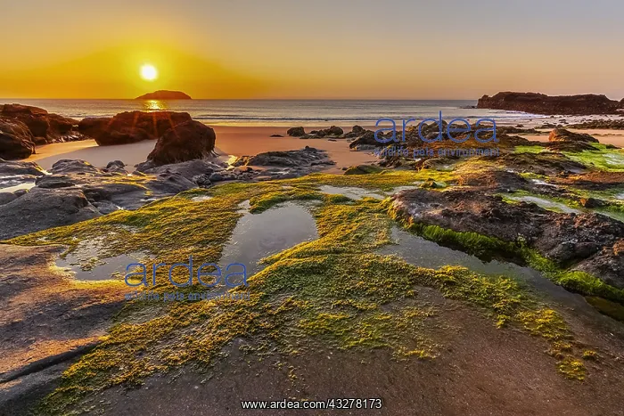 : East Lothian Coast - last evening light on sandy : East Lothian Coast - last evening light on sandy