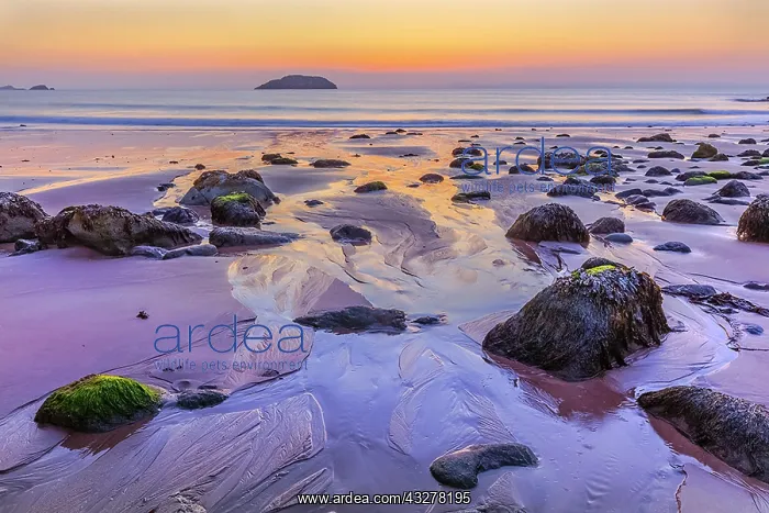 : East Lothian Coast - sandy beach and colourful reflections : East Lothian Coast - sandy beach and colourful reflections