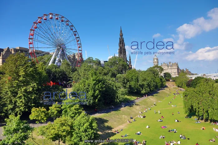 : East Prince's Street Gardens showing the Edinburgh : East Prince's Street Gardens showing the Edinburgh