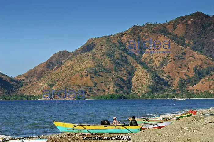 : East-Timor (Timor-LEste), Dili, blue and : East-Timor (Timor-LEste), Dili, blue and