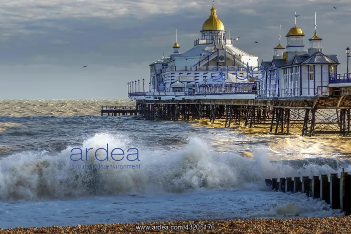 : EASTBOURNE, EAST SUSSEX / UK - JANUARY 7 : View of : EASTBOURNE, EAST SUSSEX / UK - JANUARY 7 : View of
