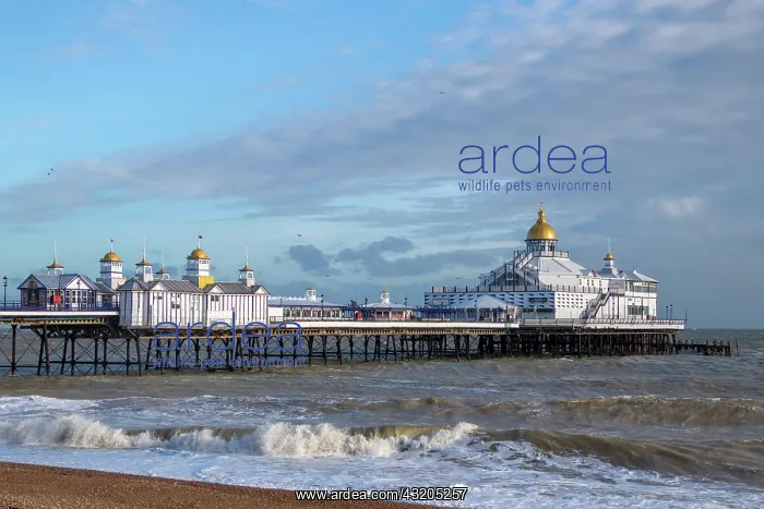  : EASTBOURNE, EAST SUSSEX / UK - JANUARY 7 : View of