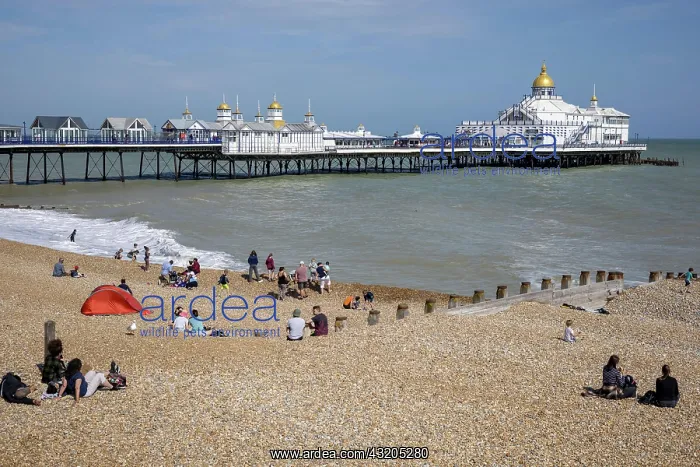 : EASTBOURNE, EAST SUSSEX, UK - JULY 29 : View of : EASTBOURNE, EAST SUSSEX, UK - JULY 29 : View of
