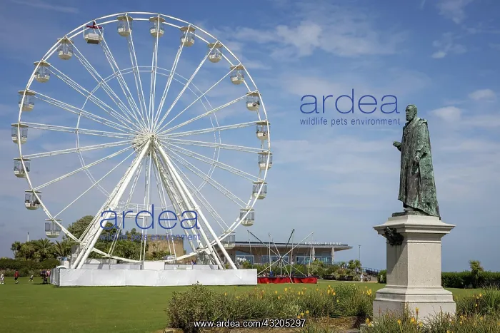 : EASTBOURNE, EAST SUSSEX / UK - JULY 29 : View of the : EASTBOURNE, EAST SUSSEX / UK - JULY 29 : View of the