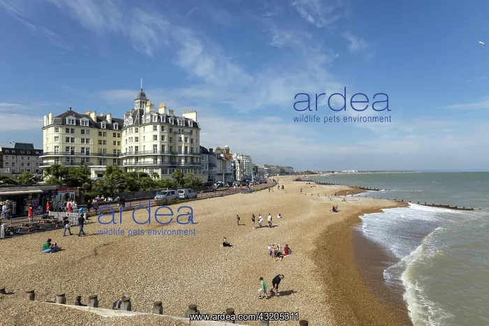 : EASTBOURNE, EAST SUSSEX, UK - JULY 29 : View from : EASTBOURNE, EAST SUSSEX, UK - JULY 29 : View from