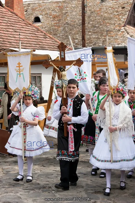 : Easter in Hollokoe, a UNESCO world heritage : Easter in Hollokoe, a UNESCO world heritage