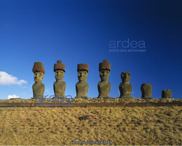 : Easter Island - Line of Moai statues, Anakena Site : Easter Island - Line of Moai statues, Anakena Site