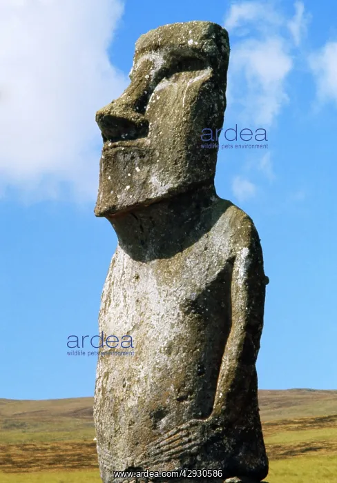 : Easter Islands - Statue - Ahu Akivi : Easter Islands - Statue - Ahu Akivi