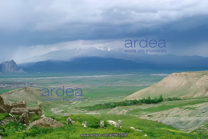 : Eastern Anatolian, Turkey - example of Steppe : Eastern Anatolian, Turkey - example of Steppe