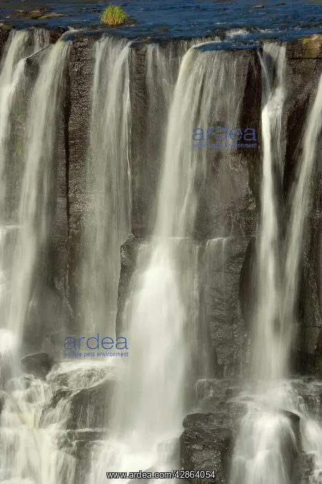 : Ebor Falls : Ebor Falls
