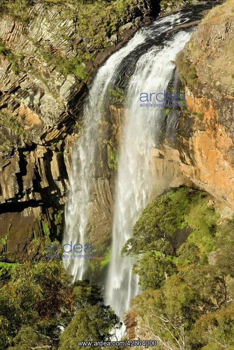  : Ebor Falls - lower section of this waterfall