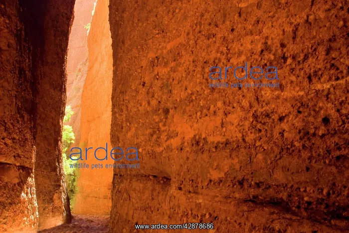 : Echidna Chasm - a very narrow, enchanting slot : Echidna Chasm - a very narrow, enchanting slot