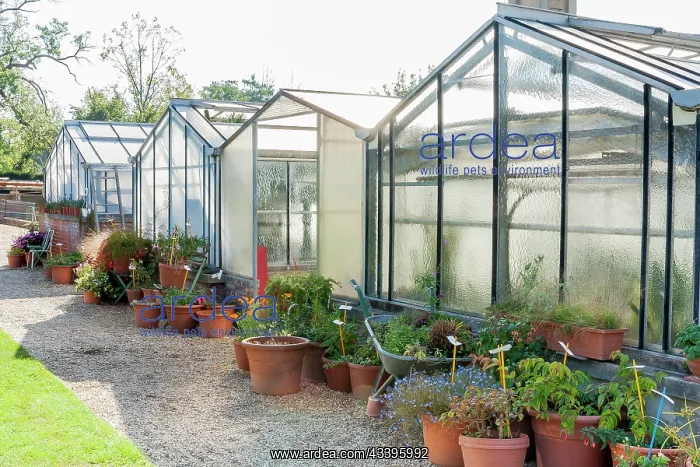 : Ecole du Breuil, Bois de Vincennes, Paris, France : Ecole du Breuil, Bois de Vincennes, Paris, France