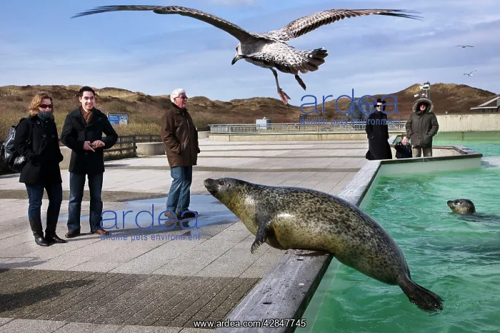  : Ecomar visitors centre and seals rescue centre