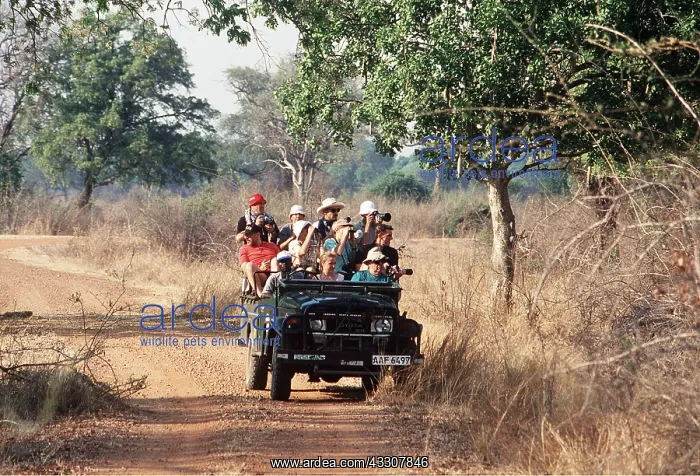 : Ecotourism - Safari : Ecotourism - Safari
