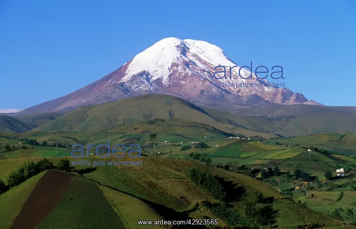  : Ecuador - Chimborazo Volcano from the west