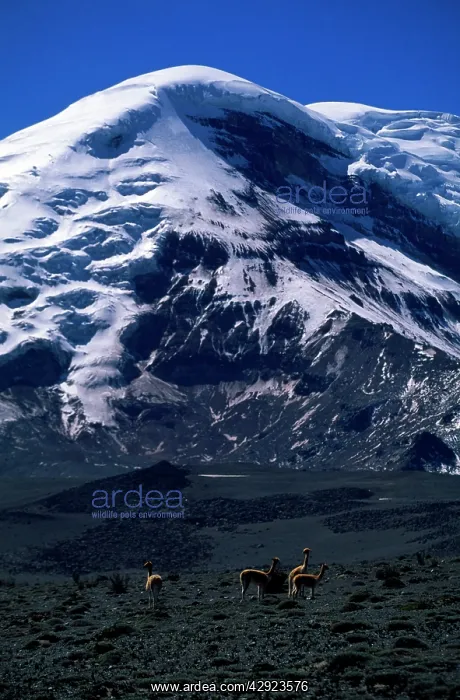  : Ecuador - Chimborazo Volcano from the west