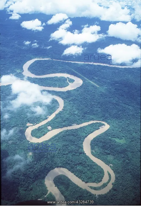 : ECUADOR RAINFOREST - river and oxbows : ECUADOR RAINFOREST - river and oxbows