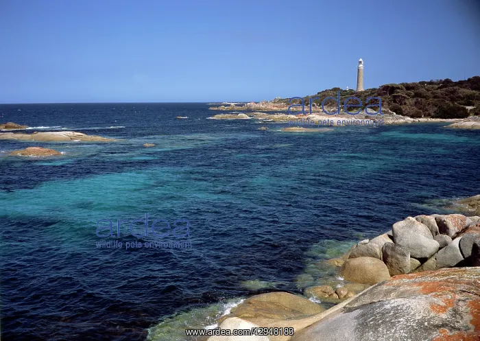 : Eddystone Lighthouse - Bay of Fires coast, northeastern : Eddystone Lighthouse - Bay of Fires coast, northeastern