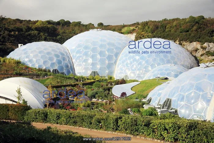 : Eden Project - Biomes : Eden Project - Biomes