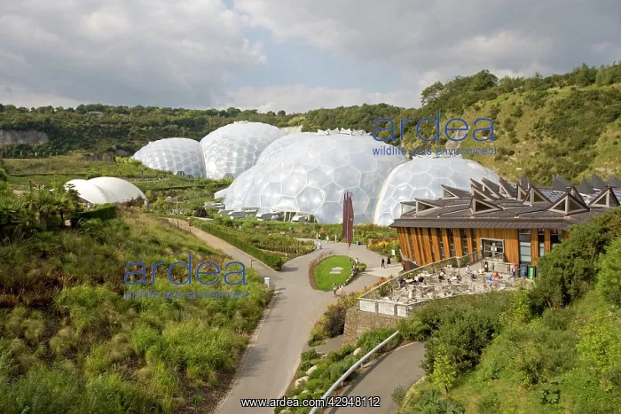 : Eden Project - General scenic of biomes and gardens : Eden Project - General scenic of biomes and gardens