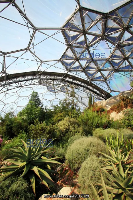 : Eden Project - inside Mediterranean Biome : Eden Project - inside Mediterranean Biome