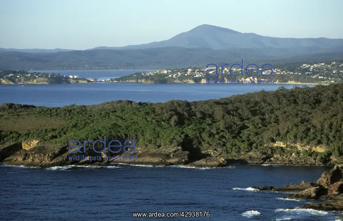 : Eden and Twofold Bay.New South Wales, Australia : Eden and Twofold Bay.New South Wales, Australia