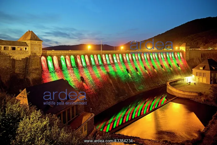 : The Edersee dam wall illuminated by LED spotlights : The Edersee dam wall illuminated by LED spotlights