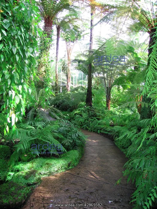: Edinburgh Botanic Garden Palm House - Tropical : Edinburgh Botanic Garden Palm House - Tropical