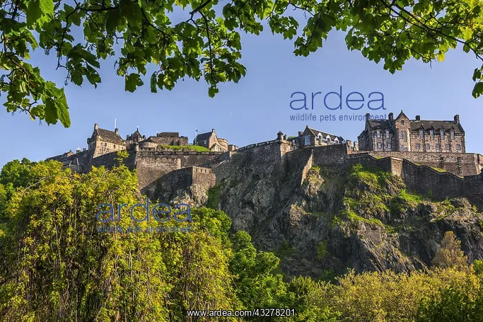  : Edinburgh Castle - castle rock with Edinburgh castle