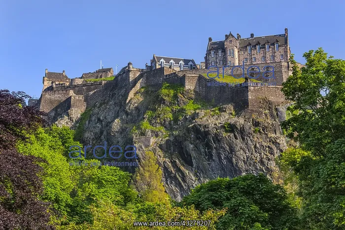 : Edinburgh Castle - castle rock with Edinburgh castle : Edinburgh Castle - castle rock with Edinburgh castle