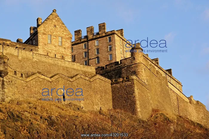 : Edinburgh Castle, Midlothian, Scotland, United Kingdom : Edinburgh Castle, Midlothian, Scotland, United Kingdom