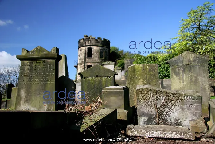 : Edinburgh, Scotland. The new Calton Cemetary : Edinburgh, Scotland. The new Calton Cemetary
