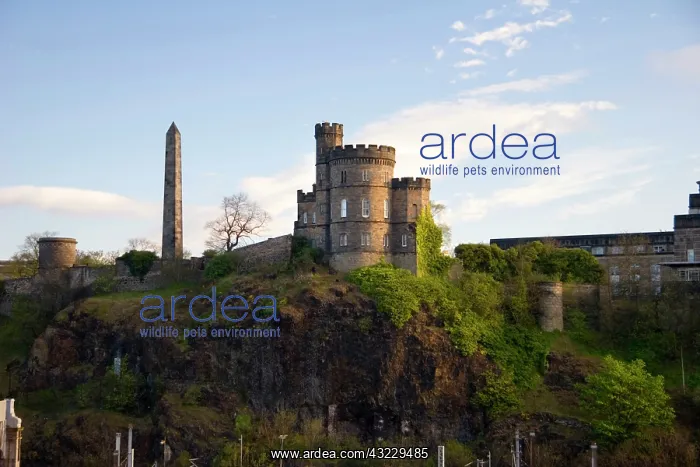 : Edinburgh, Scotland. An overview of Edinburgh : Edinburgh, Scotland. An overview of Edinburgh