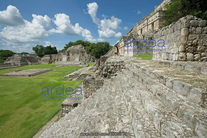 : Edzna Maya Archaeological Site, Campeche, Mexico : Edzna Maya Archaeological Site, Campeche, Mexico