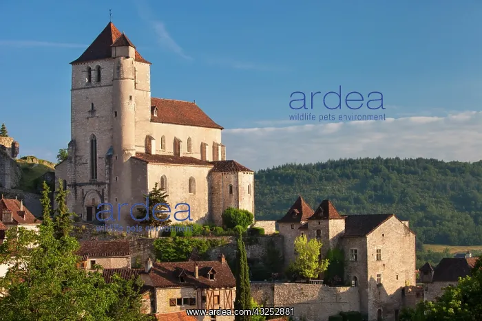 : Eglise Church and Medieval town of Saint-Cirq-Lapopie : Eglise Church and Medieval town of Saint-Cirq-Lapopie