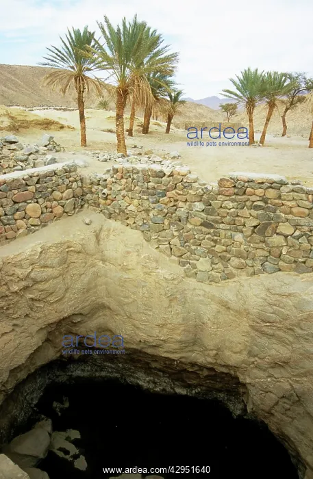  : Egypt - an ancient water well in Arabian desert