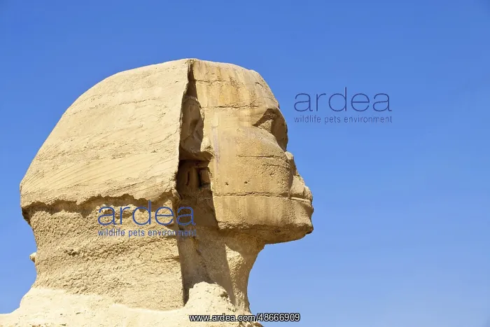  : Egypt, Egypt, Giza, Giza, Giza, Cairo, Pyramid, Pyramids