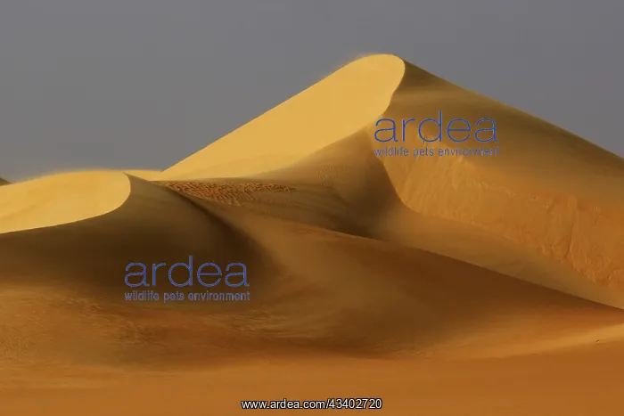 : Egypt, Great Sand Sea, Middle East, Africa : Egypt, Great Sand Sea, Middle East, Africa